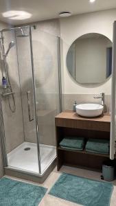 a bathroom with a shower and a sink at Logeerkamer Water op Buitenplaats de Burgwal in Leusden