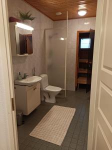 Un baño con inodoro, lavabo y ducha. en Tilava kaksio saunalla, en Seinäjoki