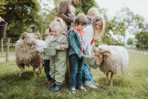 a group of children standing next to sheep in a field at Landhoeve in Zwarteweg