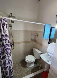 un baño con inodoro y lavabo en Hostel Mapu Paigue, en El Chaltén