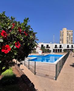 a swimming pool with a tree with red flowers at Las Americas Bungamar apartment in Playa de las Americas
