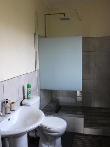 un bagno con wc, lavandino e doccia di Oppiberg Cottage with River View a Hartbeespoort