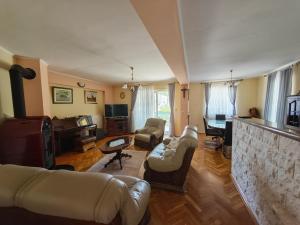 a living room with a couch chairs and a fireplace at Villa Estera in Grubine