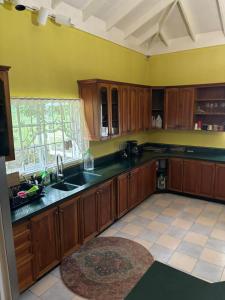 eine Küche mit Holzschränken und einer Spüle in der Unterkunft Plantation Suite in Montego Bay