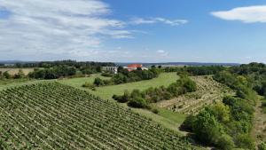 una vista aerea di un vigneto con una casa su una collina di Apartmány Vinařství Válkovi 