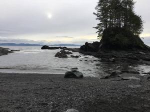 a rocky beach with a tree and the water at The Great Escape - Port Renfrew & Bunkhouse in Port Renfrew