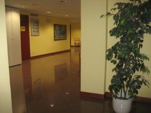 Imagine din galeria proprietății Hotel Ristorante Klaus în Porto Tolle