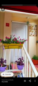 a balcony with three potted plants on the stairs at Rural Chalet in Arredondo in Arredondo