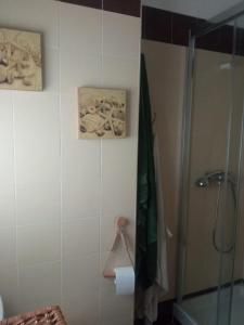 a bathroom with a shower and a towel and paintings at Rural Chalet in Arredondo in Arredondo +19 photos