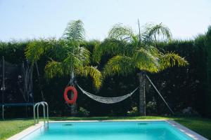 a hammock in a yard with a swimming pool at Casas do Maranhão Póvoa de Varzim in Navais