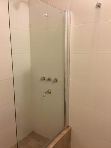 a shower stall with a glass door with a shower at Ukurj Apartamentos in Ushuaia