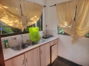 a kitchen with a sink and two windows at Papaya Guesthouse in Mahe +36 photos