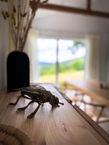 Afbeelding uit fotogalerij van The View - Wellness Forest Lodge in Stoumont +31 foto's