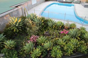 Gallery image of Cook's Lookout Motel in Paihia