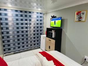 a bedroom with a bed and a tv and a window at Acama Guest House in Welkom