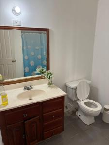 a bathroom with a sink and a toilet and a mirror at Sunlight Radiance Room in Montego Bay