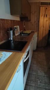 una cucina con un lavello e un piano di lavoro di Vila Dona a Budeni
