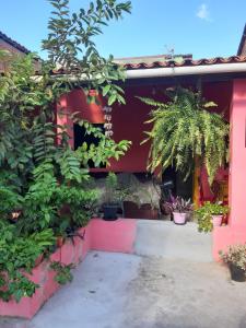 a house with plants on the side of it at Morada das Plantas in Mucugê +3 photos