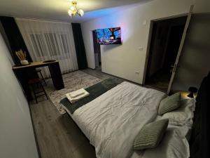 a bedroom with a bed and a tv on the wall at Cozy Home Studio in Petroşani