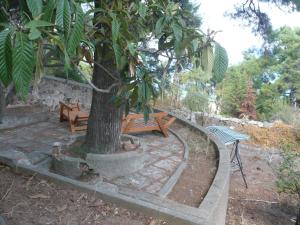 a wooden bench sitting under a tree next to a table at Apartament Ada in Buyukada +16 photos