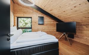 Μια τηλεόραση ή/και κέντρο ψυχαγωγίας στο Penthouse Suite mit Whirlpool in Hinterzarten