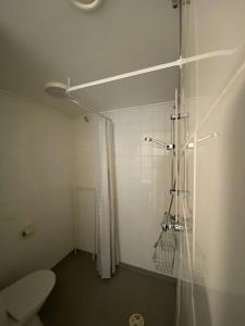a small bathroom with a toilet and a shower at Practical Apartment for 2 in Smedsbacka