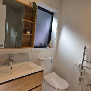 a bathroom with a toilet and a sink and a window at Central Christchurch Studio - Allen Street in Linwood