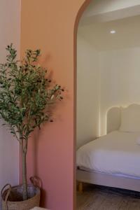 a bedroom with a potted plant next to a mirror at Magnifique Studio moderne in Pierrefeu-du-Var