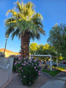 メスキートにあるNevada Mesquite Vacation Rentalsのギャラリーの写真