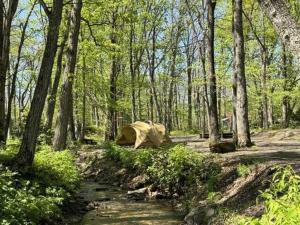 una tenda in mezzo a una foresta di Playhouse Conifer - Vacation STAY 42761v a Mikage