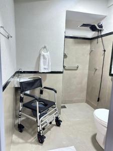 a wheelchair in a bathroom with a toilet and a mirror at Terraço Plaza Hotel in Jaboticabal