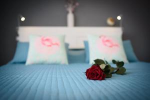 eine rote Rose auf einem Bett in der Unterkunft Studio Tironi in Trogir