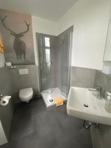 a bathroom with a shower and a toilet and a sink at Hotel W Wolfsschlucht in Baden-Baden +8 photos