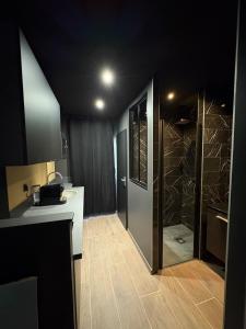 a kitchen with a walk in shower next to a counter at La Romantique in Bressuire