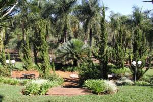un jardin avec des palmiers et des plantes dans un parc dans l'établissement Chácara Vila Toscana, 