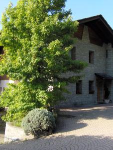 un grande albero di fronte a un edificio in pietra di Le Lierre a Châtillon