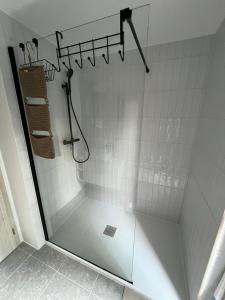 a shower with a glass door in a bathroom at Relax v Čenkovicích in Čenkovice +31 photos