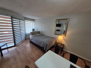 ein Schlafzimmer mit einem Bett, einem Spiegel und einem Tisch in der Unterkunft Entrehoteles Suites in Santiago