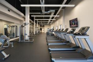 Γυμναστήριο ή/και όργανα γυμναστικής στο Downtown Sq Stadium, Casino, Rock Hall, Clinic