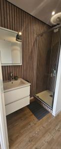 a bathroom with a sink and a mirror at Chambre avec vue in Villefranque