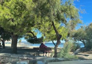 uma pessoa sentada em um banco de parque perto da praia em LE MARIUS 2 PIECES 4 personnes Coeur de ville em Mèze mais 2 fotografias