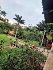 a garden with palm trees and a dirt road at Loft charmoso! in Água Boa +5 photos