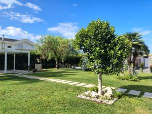 a tree in the yard of a house at Dimora da Anna tra Amalfi e Sorrento in Angri