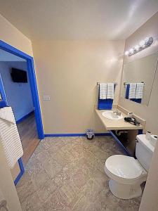 a bathroom with a white toilet and a sink at Cozy Bear Inn in Maggie Valley +10 photos