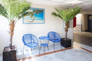 drei Stühle und ein Tisch und zwei Palmen in der Unterkunft Hotel Puerto Angel in Ciudad Nezahualcóyotl