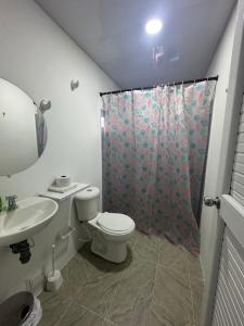 プロビデンシアにあるFreshwater Bay House Beachのトイレとシャワーカーテン付きのバスルーム