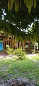 budynek z zielonymi liśćmi w obiekcie Eco Sitio a Flor do Bacuri w mieście Algodoal