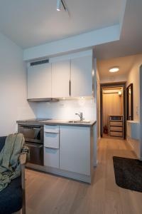 Kuchyň nebo kuchyňský kout v ubytování Aurora compact comfort