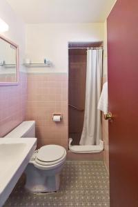 a bathroom with a toilet and a shower at Heidelberg Motel by Capital O Bridgeport Frankenmuth MI Dixie HWY in Bridgeport