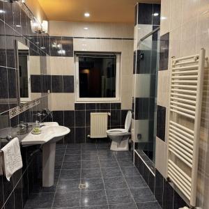 a bathroom with a sink and a toilet at Vila Daria in Braşov +6 photos